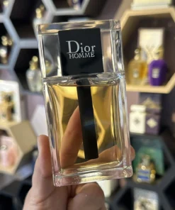 dior homme 2020