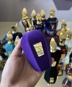xerjoff accento 100 ml