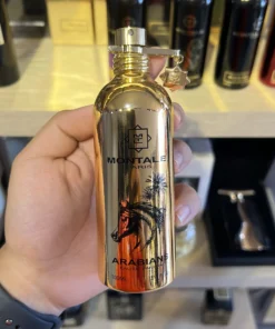 montale arabians