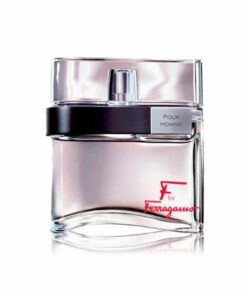 perfume f pour homme de salvatore ferragamo para hombre 100 ml frasco.jpg