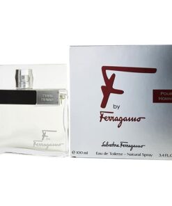 perfume f de ferragamo pour homme