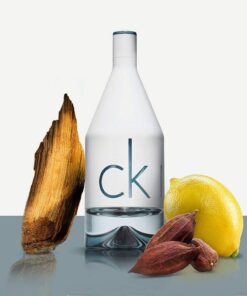 perfume ck in2u klein