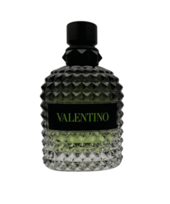 valentino1 1.png