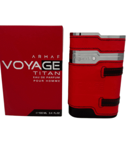 voyage d9b1bd73 0da9 485d 9c79 8a78cfd5fc3b.png