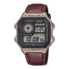casio 9953 4081762 1 zoom.jpg