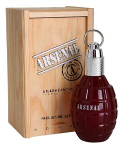 perfume arsenal grey gilles cantuel 100ml hombre eau de toilette 2558595.jpg