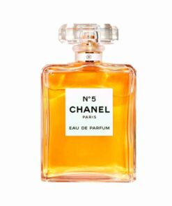 perfume chanel 5 eau de perfum 100 ml mujer frasco.jpg