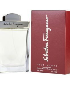 perfume salvatore ferragamo eau de toilette 100ml hombre 8647714.jpg