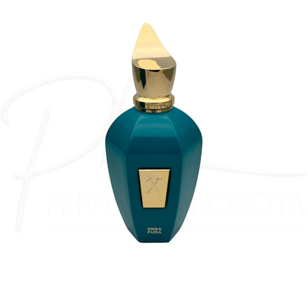 perfume xerjoff erba pura eau de parfum 100ml unisex perfume xerjoff erba pura eau de parfum 100ml unisex